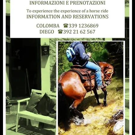 Gasperino House Apartment *