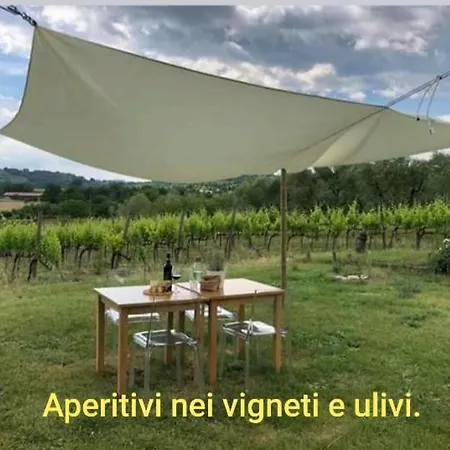 Gasperino House